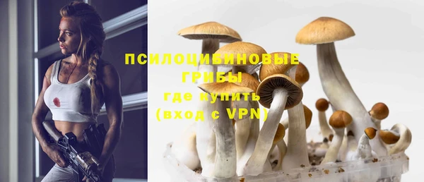 герыч Аркадак