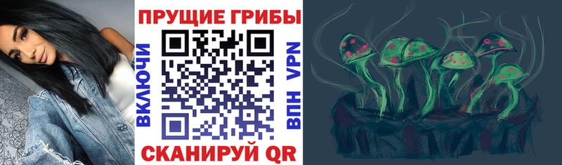 Псилоцибиновые грибы Magic Shrooms  Кубинка 
